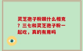灵芝孢子粉跟什么相克？三七和灵芝孢子粉一起吃，真的有用吗