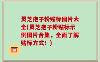 灵芝孢子粉贴标图片大全(灵芝孢子粉贴标示例图片合集，全面了解贴标方式！)