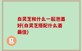 白灵芝和什么一起泡酒好(白灵芝搭配什么酒最佳)