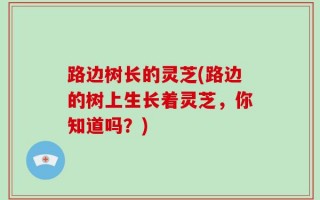 路边树长的灵芝(路边的树上生长着灵芝，你知道吗？)