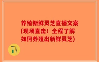 养殖新鲜灵芝直播文案(现场直击！全程了解如何养殖出新鲜灵芝)