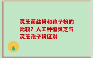 灵芝菌丝粉和孢子粉的比较？人工种植灵芝与灵芝孢子粉区别