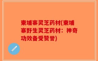 柬埔寨灵芝药材(柬埔寨野生灵芝药材：神奇功效备受赞誉)