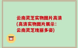 云南灵芝实物图片高清(高清实物图片展示：云南灵芝瑰丽多姿)