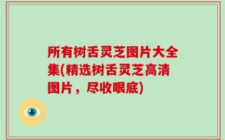 所有树舌灵芝图片大全集(精选树舌灵芝高清图片，尽收眼底)