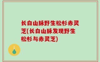 长白山脉野生松杉赤灵芝(长白山脉发现野生松杉与赤灵芝)