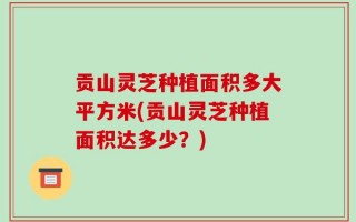 贡山灵芝种植面积多大平方米(贡山灵芝种植面积达多少？)