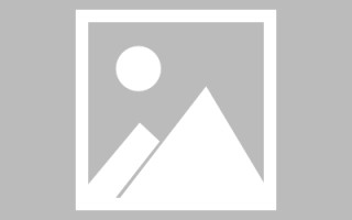揭示孢子粉品质差异，为什么选择合适的产品至关重要？