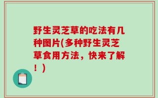 野生灵芝草的吃法有几种图片(多种野生灵芝草食用方法，快来了解！)