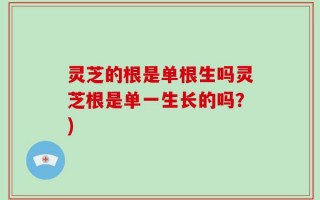 灵芝的根是单根生吗灵芝根是单一生长的吗？)
