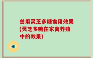 兽用灵芝多糖禽用效果(灵芝多糖在家禽养殖中的效果)