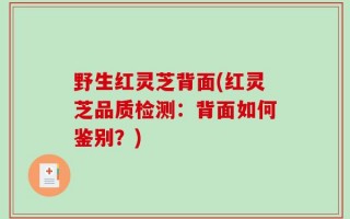 野生红灵芝背面(红灵芝品质检测：背面如何鉴别？)