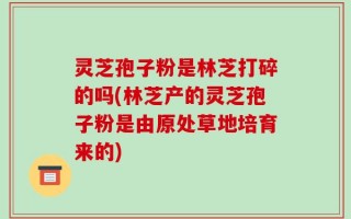 灵芝孢子粉是林芝打碎的吗(林芝产的灵芝孢子粉是由原处草地培育来的)