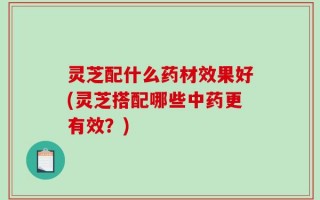 灵芝配什么药材效果好(灵芝搭配哪些中药更有效？)