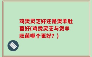 鸡煲灵芝好还是煲羊肚菌好(鸡煲灵芝与煲羊肚菌哪个更好？)