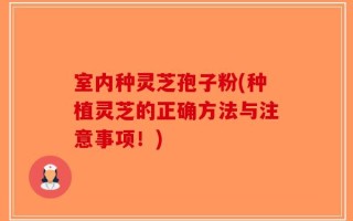室内种灵芝孢子粉(种植灵芝的正确方法与注意事项！)