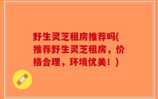 野生灵芝租房推荐吗(推荐野生灵芝租房，价格合理，环境优美！)