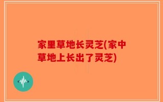 家里草地长灵芝(家中草地上长出了灵芝)