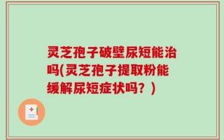 灵芝孢子破壁尿短能治吗(灵芝孢子提取粉能缓解尿短症状吗？)
