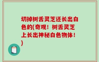 切掉树舌灵芝还长出白色的(奇观！树舌灵芝上长出神秘白色物体！)
