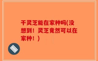 干灵芝能在家种吗(没想到！灵芝竟然可以在家种！)