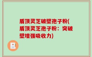 盾顶灵芝破壁孢子粉(盾顶灵芝孢子粉：突破壁增强吸收力)