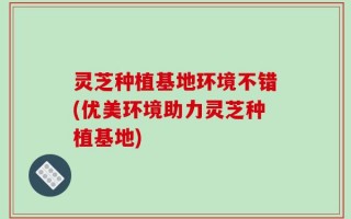 灵芝种植基地环境不错(优美环境助力灵芝种植基地)