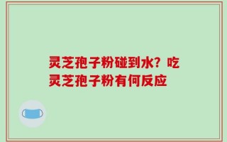 灵芝孢子粉碰到水？吃灵芝孢子粉有何反应