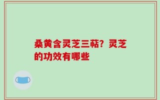 桑黄含灵芝三萜？灵芝的功效有哪些