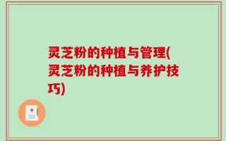 灵芝粉的种植与管理(灵芝粉的种植与养护技巧)