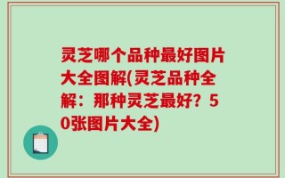 灵芝哪个品种最好图片大全图解(灵芝品种全解：那种灵芝最好？50张图片大全)