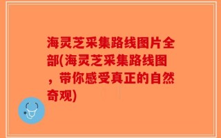 海灵芝采集路线图片全部(海灵芝采集路线图，带你感受真正的自然奇观)