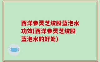 西洋参灵芝绞股蓝泡水功效(西洋参灵芝绞股蓝泡水的好处)