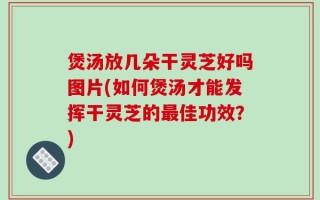 煲汤放几朵干灵芝好吗图片(如何煲汤才能发挥干灵芝的最佳功效？)