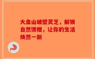 大盘山破壁灵芝，解锁自然馈赠，让你的生活焕然一新