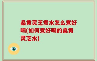 桑黄灵芝煮水怎么煮好喝(如何煮好喝的桑黄灵芝水)