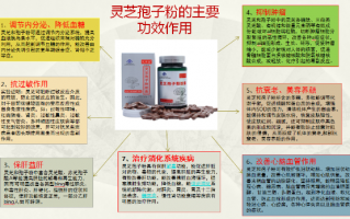 灵芝孢子粉批发价多少？