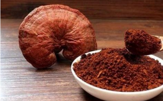 灵芝孢子粉泡水温度多少度合适？