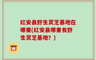 红安县野生灵芝基地在哪里(红安县哪里有野生灵芝基地？)