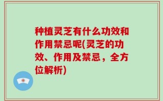 种植灵芝有什么功效和作用禁忌呢(灵芝的功效、作用及禁忌，全方位解析)