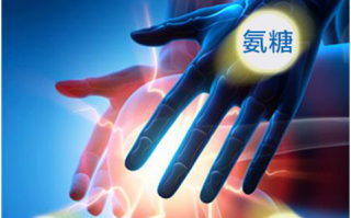氨糖软骨素哪个牌子好？推荐维力维氨糖