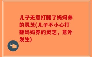 儿子无意打翻了妈妈养的灵芝(儿子不小心打翻妈妈养的灵芝，意外发生)