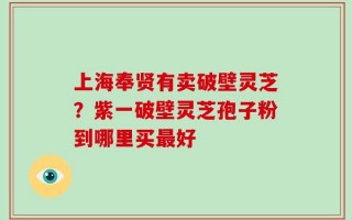 上海奉贤有卖破壁灵芝？紫一破壁灵芝孢子粉到哪里买最好
