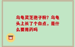 乌龟灵芝孢子粉？乌龟头上长了个白点，是什么要用药吗