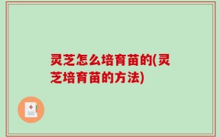 灵芝怎么培育苗的(灵芝培育苗的方法)