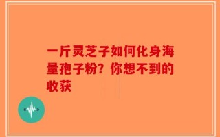 一斤灵芝子如何化身海量孢子粉？你想不到的收获