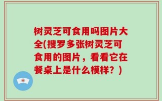 树灵芝可食用吗图片大全(搜罗多张树灵芝可食用的图片，看看它在餐桌上是什么模样？)