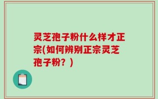 灵芝孢子粉什么样才正宗(如何辨别正宗灵芝孢子粉？)