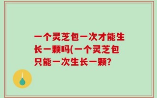 一个灵芝包一次才能生长一颗吗(一个灵芝包只能一次生长一颗？