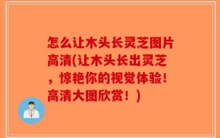 怎么让木头长灵芝图片高清(让木头长出灵芝，惊艳你的视觉体验！高清大图欣赏！)